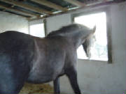 dsc00652.jpg