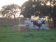 dsc00676.jpg